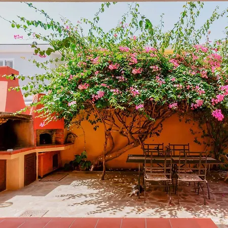 B&B Il Piccolo Giardino-3
