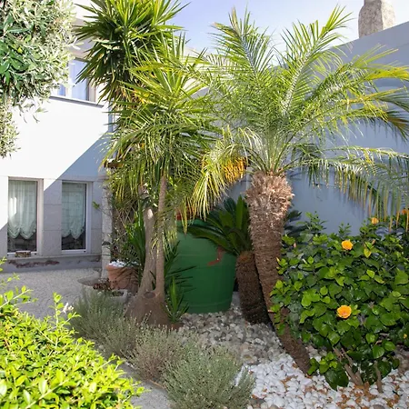 Hibiscus B&B-3