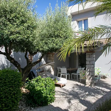 Hibiscus B&B-2